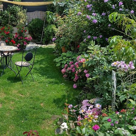 Ferienwohnung Am Berg, 35Qm Rickenbach  Kültér fotó