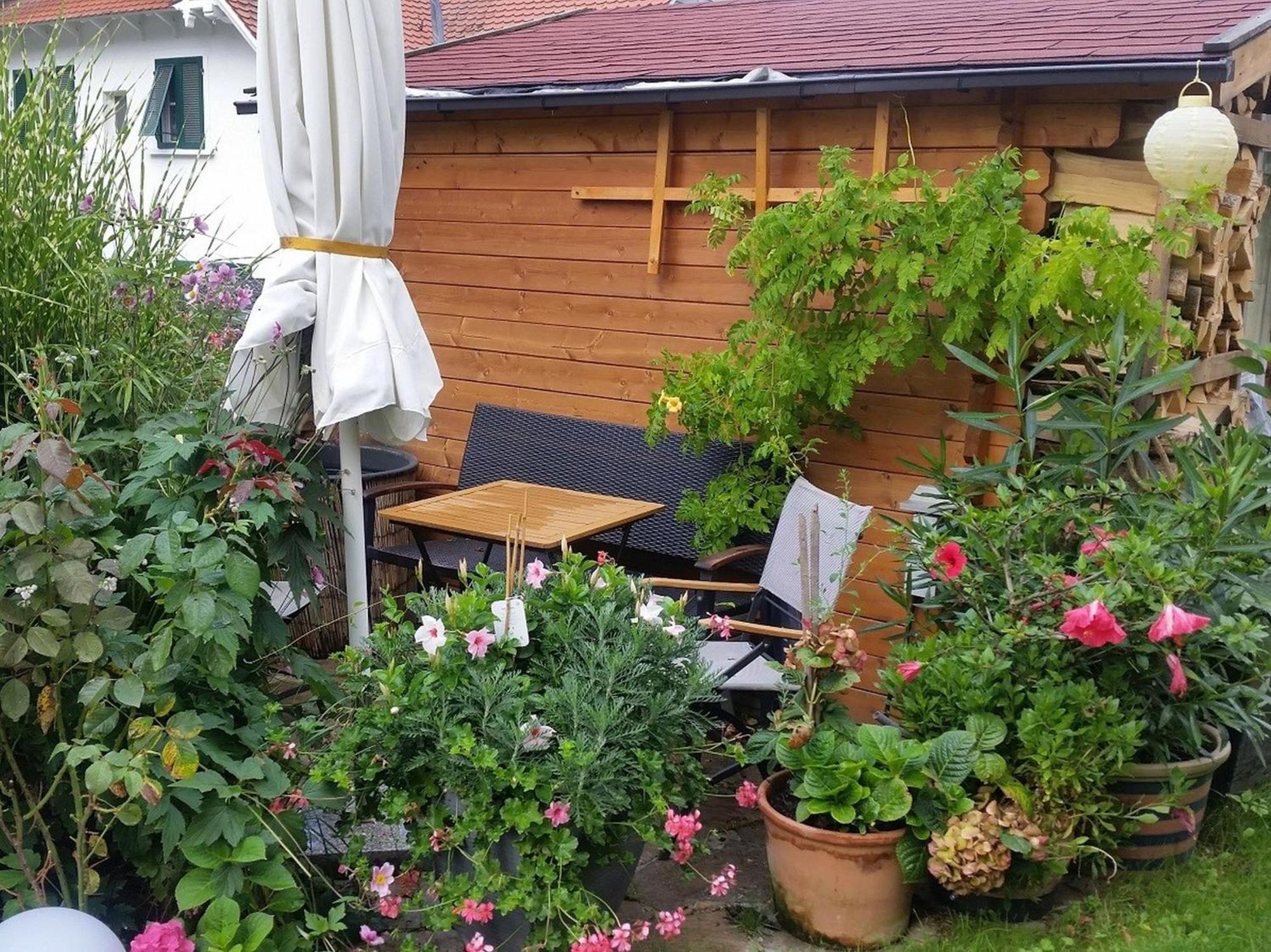 Ferienwohnung Am Berg, 35Qm Rickenbach  Kültér fotó